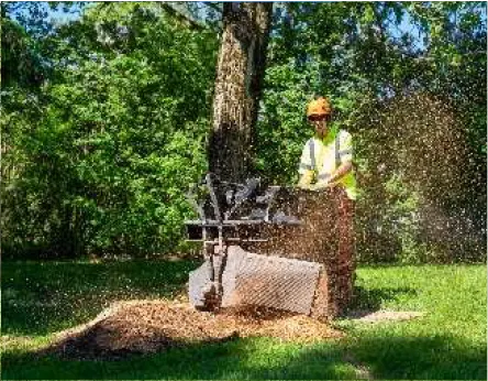 tree removal and stump grinding north york